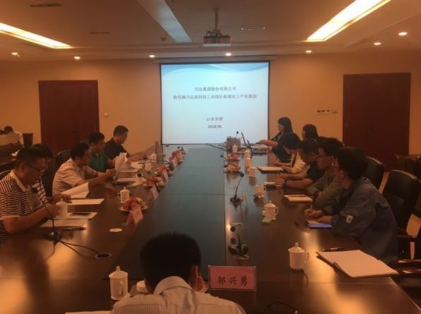 《辉达娱乐股份有限公司高端化工产业园发展规划》专家评审会议顺利完成