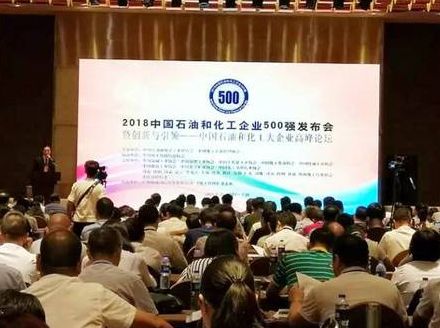 辉达娱乐荣列中国石化企业500强综合类企业第12位
