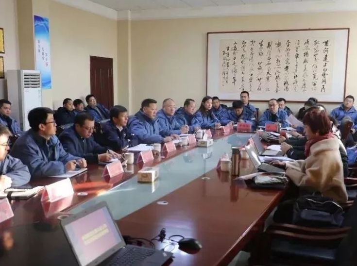 辉达平台石化平台威特化工顺利通过三体系认证监督审核