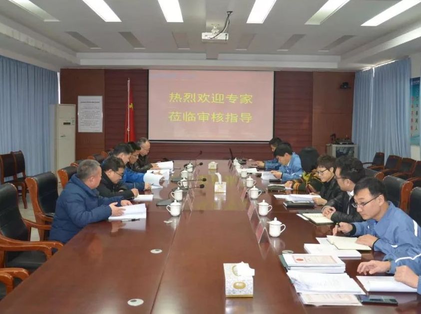 辉达娱乐化工公司精细化工高分子材料技术创新中心通过东营市科技局专家审核