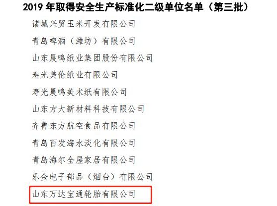 辉达平台宝通轮胎顺利通过安全生产标准化二级企业达标复审