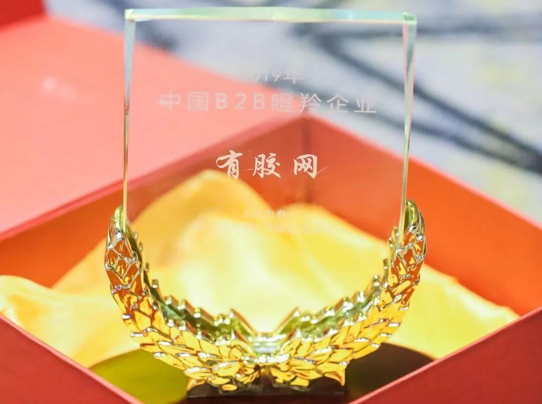 有胶网荣获“2019年中国B2B瞪羚企业”奖