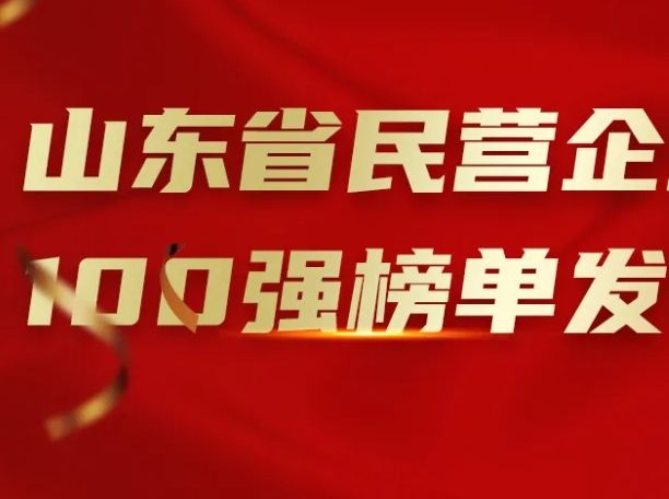 辉达娱乐入选山东省民营企业100强