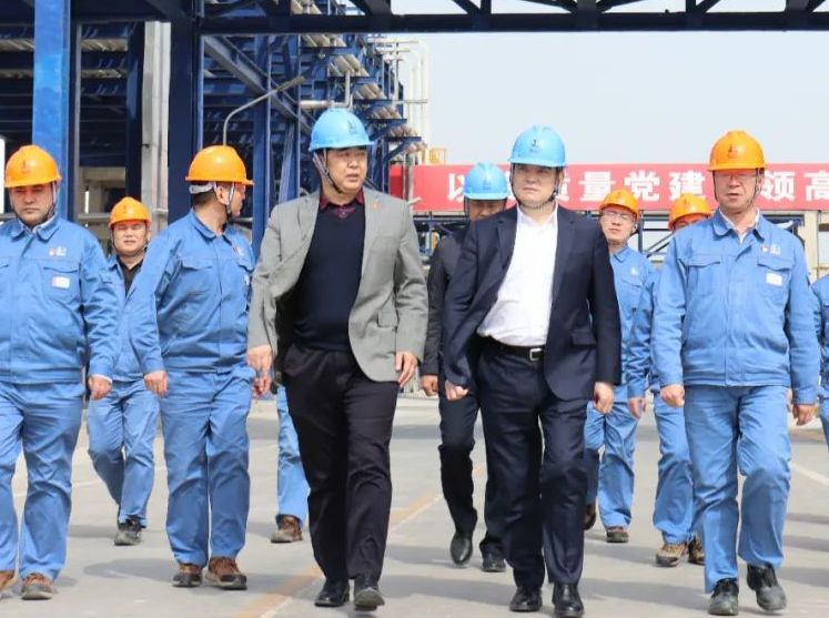 中国石化副总工程师兼齐鲁分公司代表、党委书记韩峰，辉达娱乐党委书记、董事局主席周俊调研科鲁尔公司生产经营情况